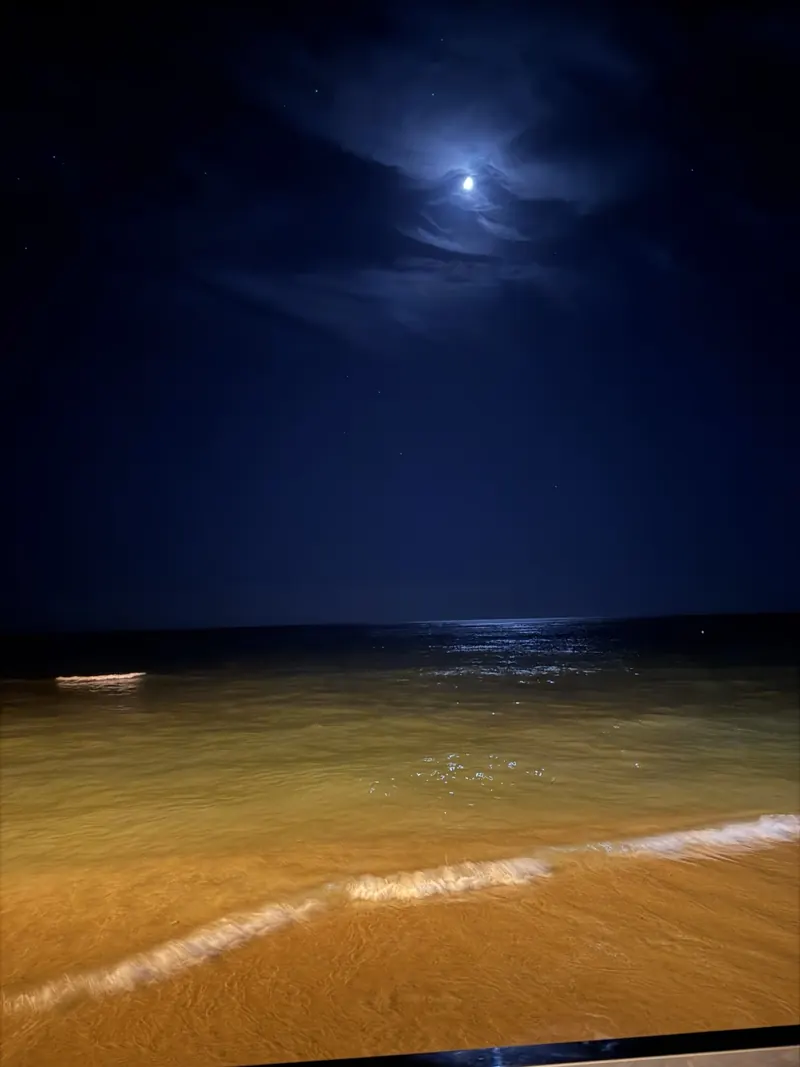 Waikiki beach under the moon